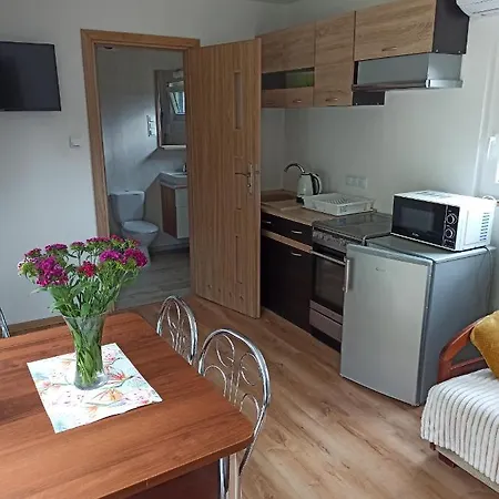 Pod Sosnami Villa Miedzychod